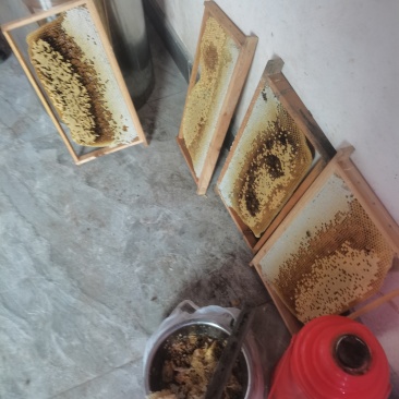 土蜂蜜两斤一瓶，顺丰包邮