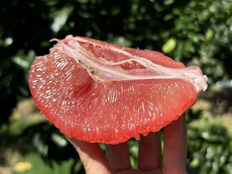柚子琯溪蜜柚红肉/三红