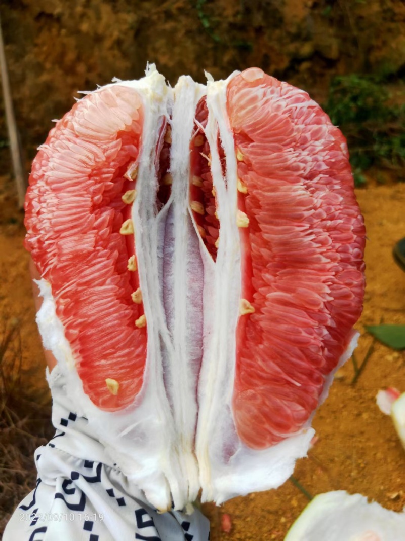 柚子琯溪蜜柚红肉/三红