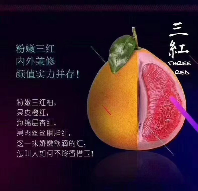 柚子琯溪蜜柚红肉/三红