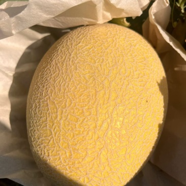 哈密瓜金色年华品种，纸箱包装