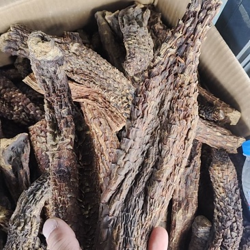 肉苁蓉看量选货