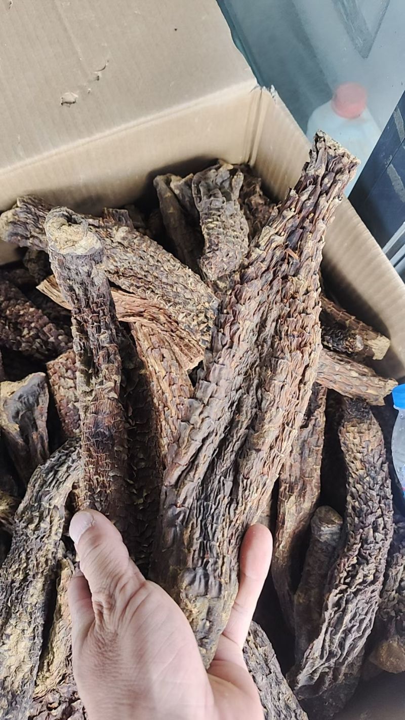 肉苁蓉看量选货