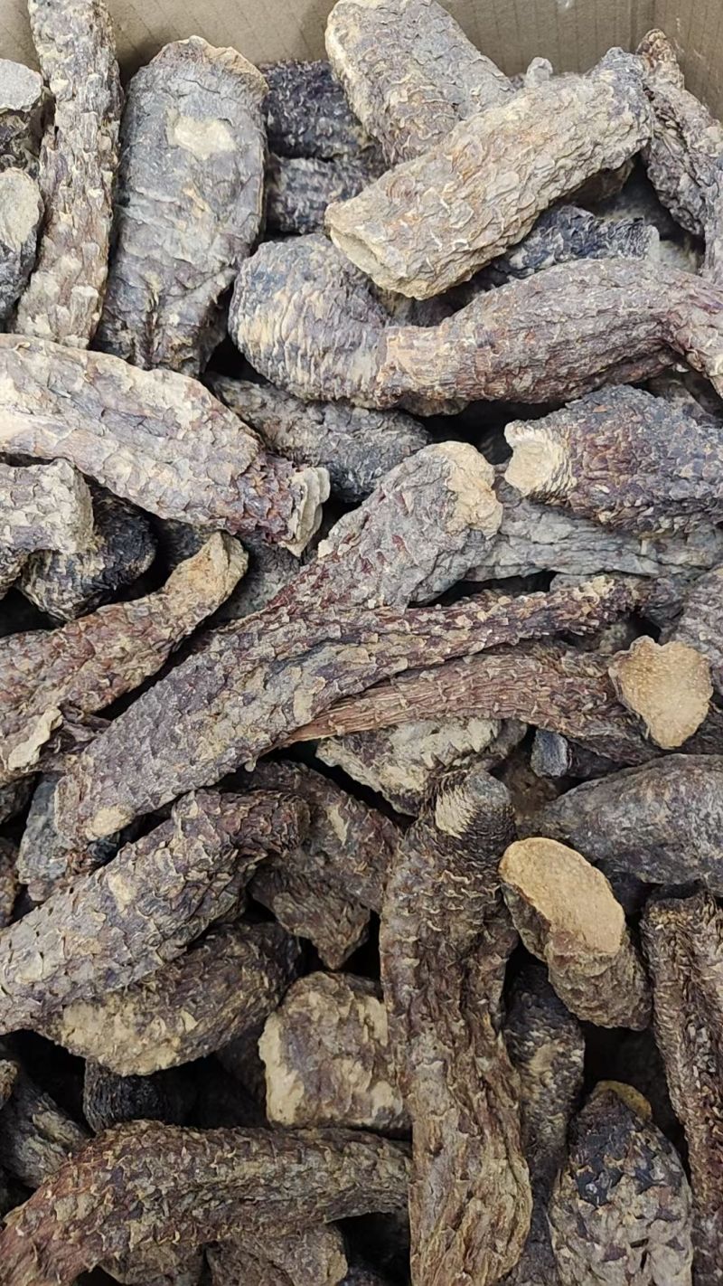 肉苁蓉看量选货