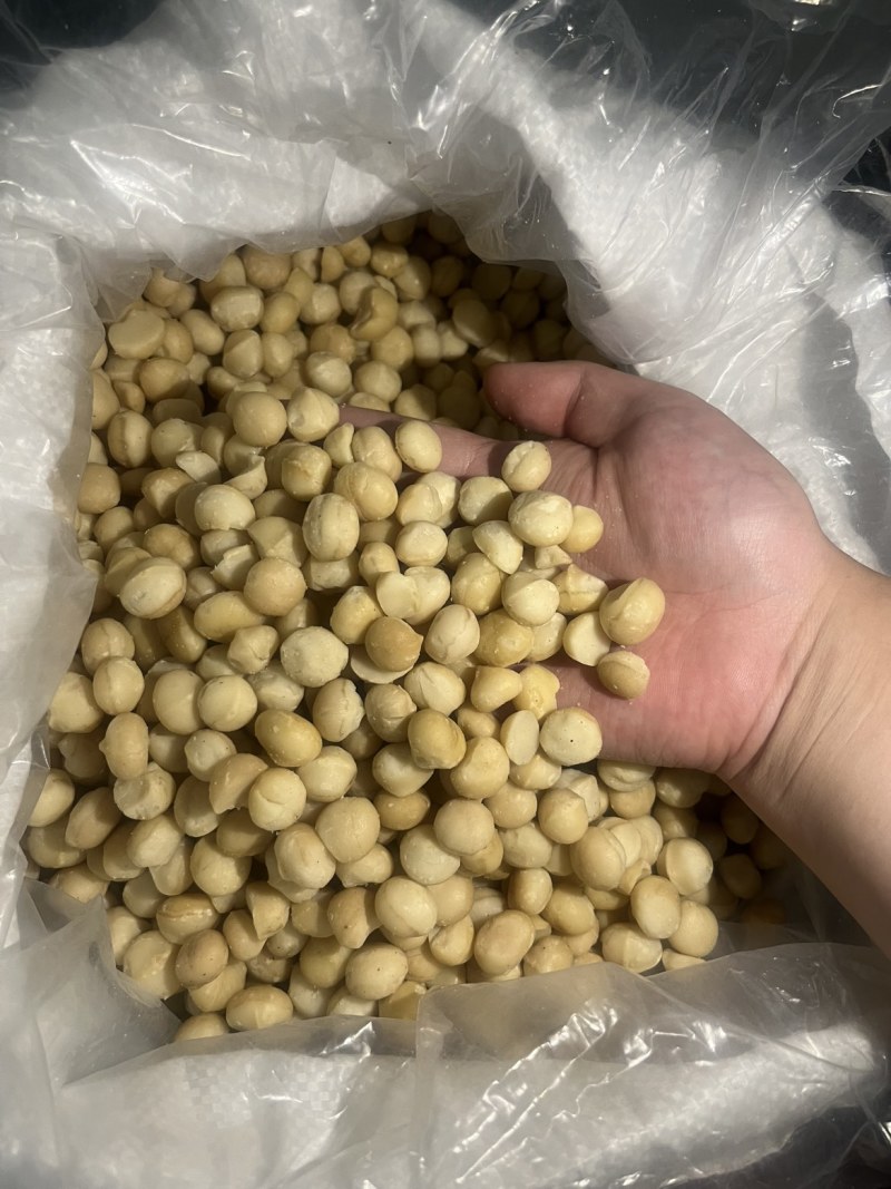 夏威夷果果仁/带壳/碎仁，各种规格