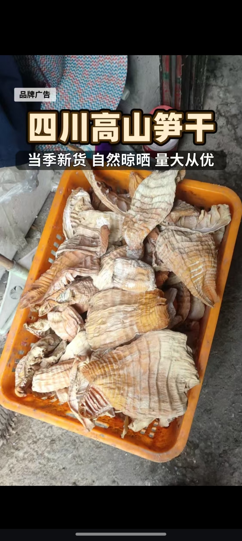 笋干全干货，两寸到六寸长