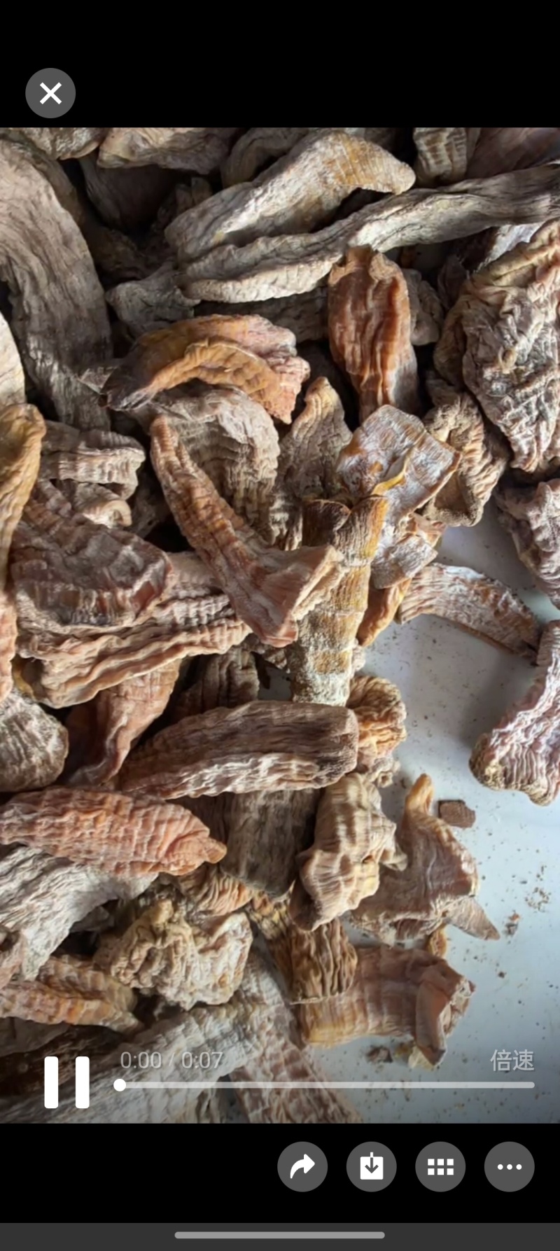 笋干全干货，两寸到六寸长