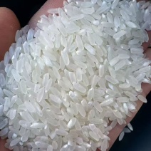 大米矿泉香米，5kg/25kg袋装