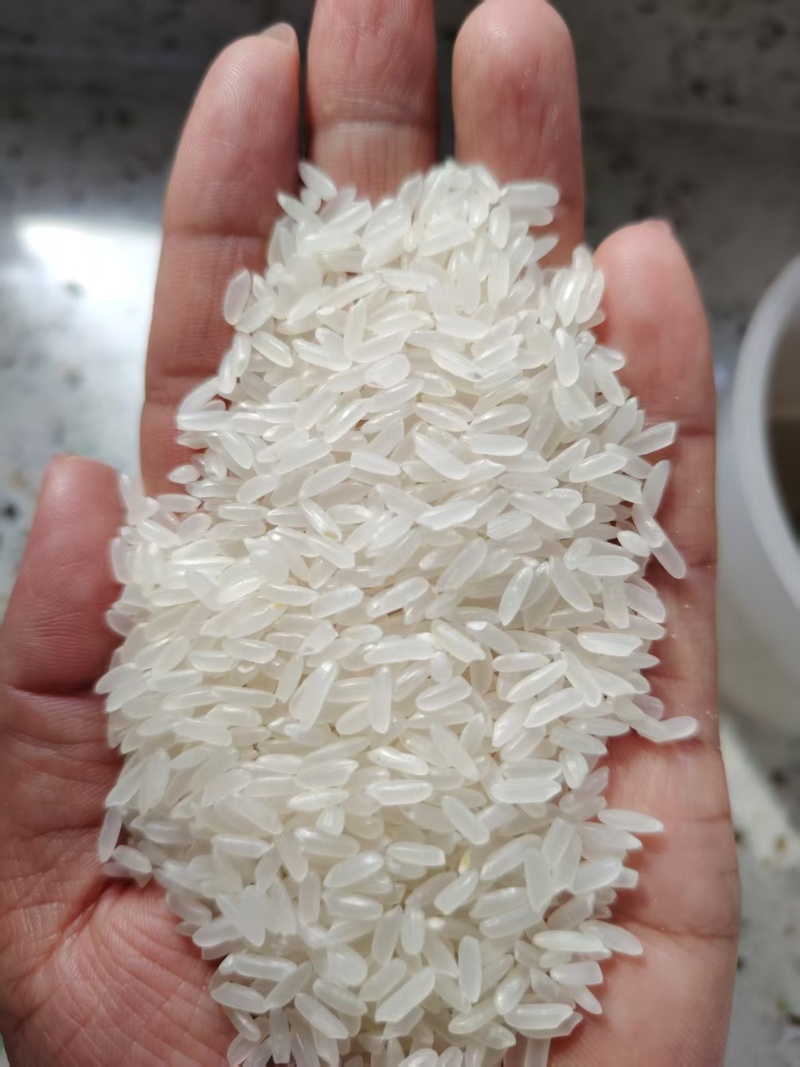 大米矿泉香米，5kg/25kg袋装