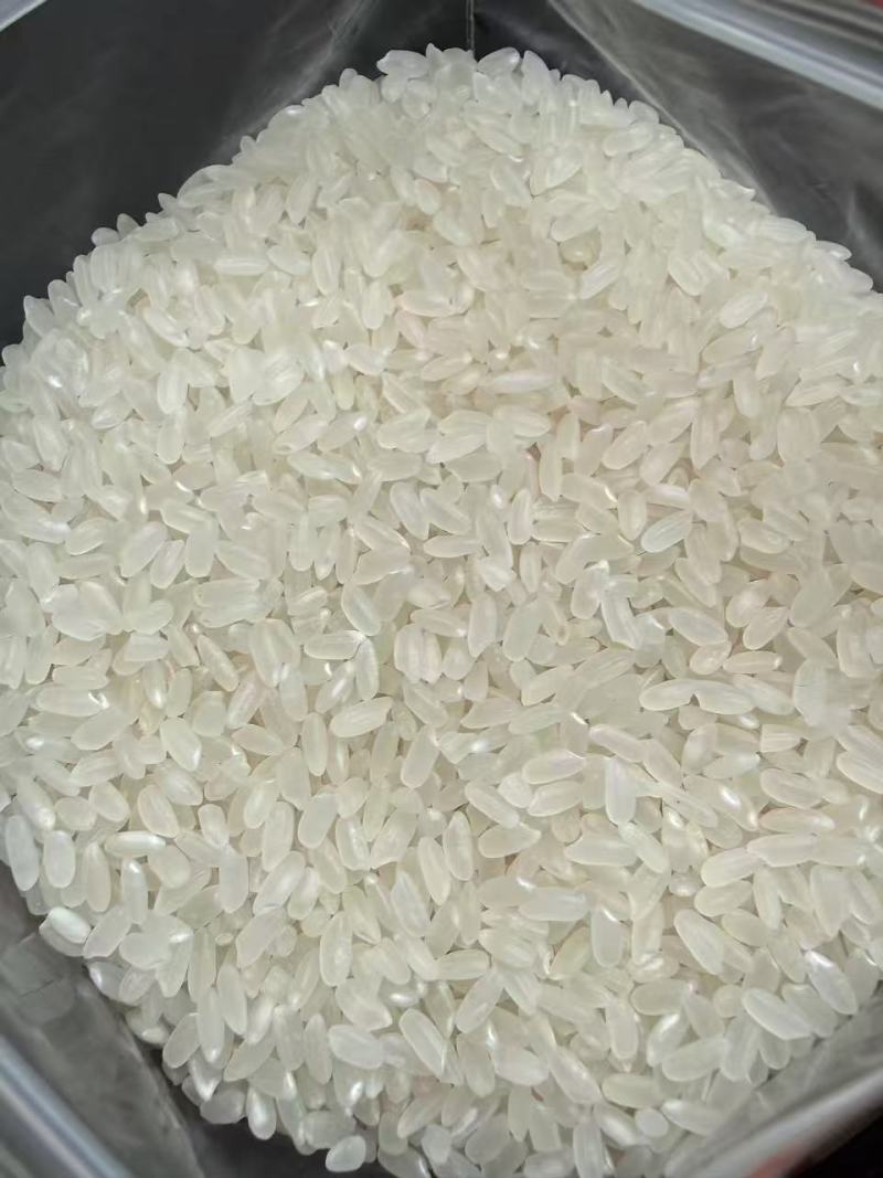 大米矿泉香米，5kg/25kg袋装