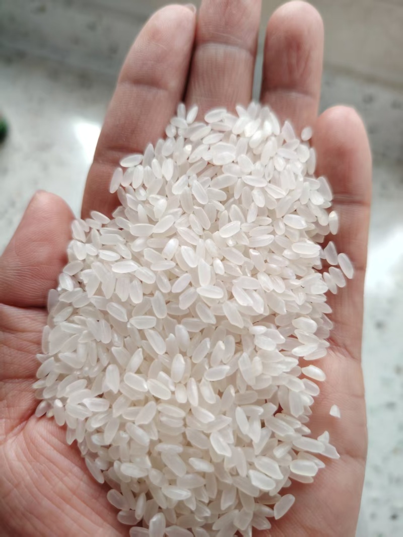 大米矿泉香米，5kg/25kg袋装