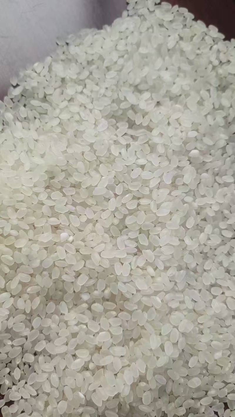 大米矿泉香米，5kg/25kg袋装