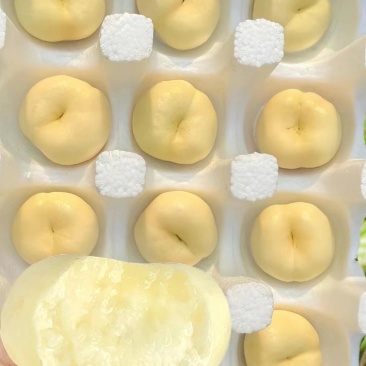 桃1J/3J规格，3两以上，品种齐全：油桃、毛桃、突围桃