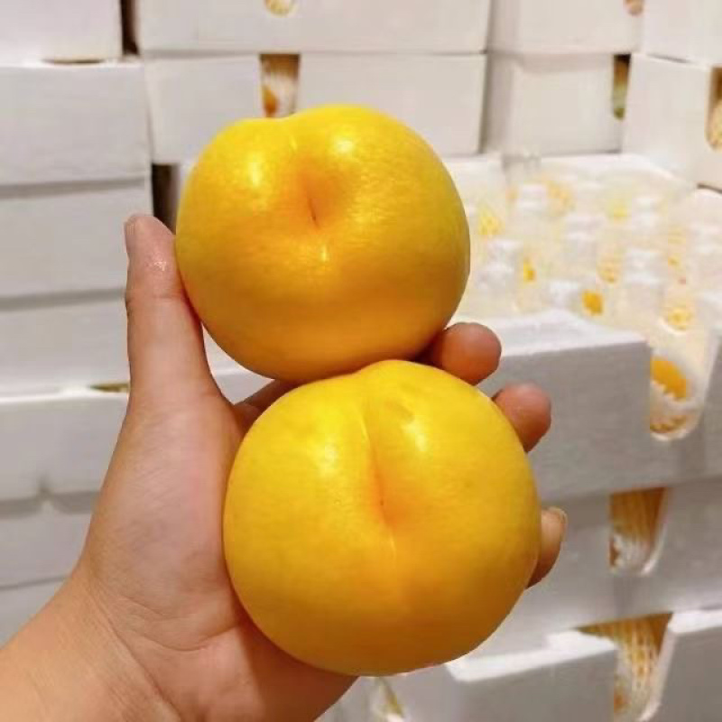 桃1J/3J规格，3两以上，品种齐全：油桃、毛桃、突围桃