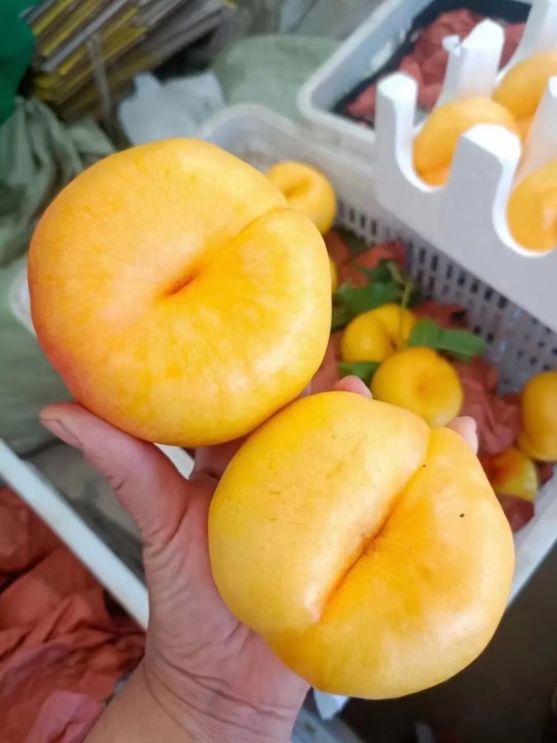 桃1J/3J规格，3两以上，品种齐全：油桃、毛桃、突围桃
