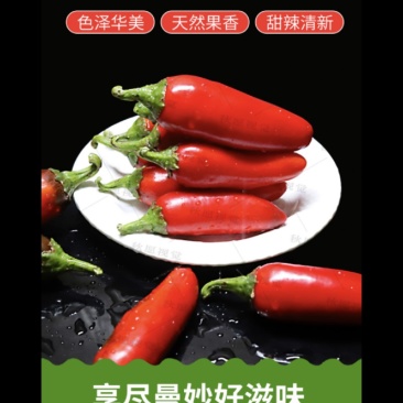 鲜辣椒精品黄兴辣椒