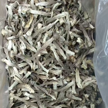 鹿茸菇A货，干货