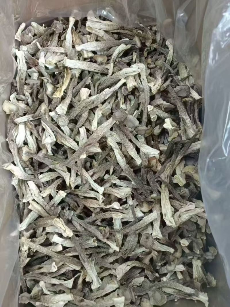 鹿茸菇A货，干货