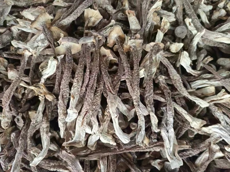 鹿茸菇A货，干货