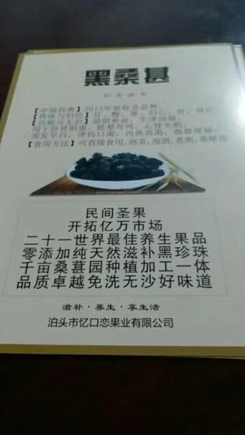 桑椹鲜果/冻果/果干