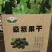 桑葚干散装/罐装/礼盒装，产地直发，一手货源，药食同源