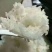 稻花香中科发五掺15%稻花香，50斤编织袋装，可选精品包