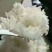 稻花香中科发五掺15%稻花香，50斤编织袋装，可选精品包