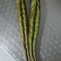荷叶统货