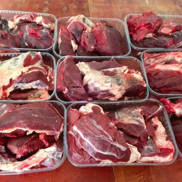 鹿肉屠宰后鹿肉