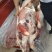 鹿肉屠宰后鹿肉
