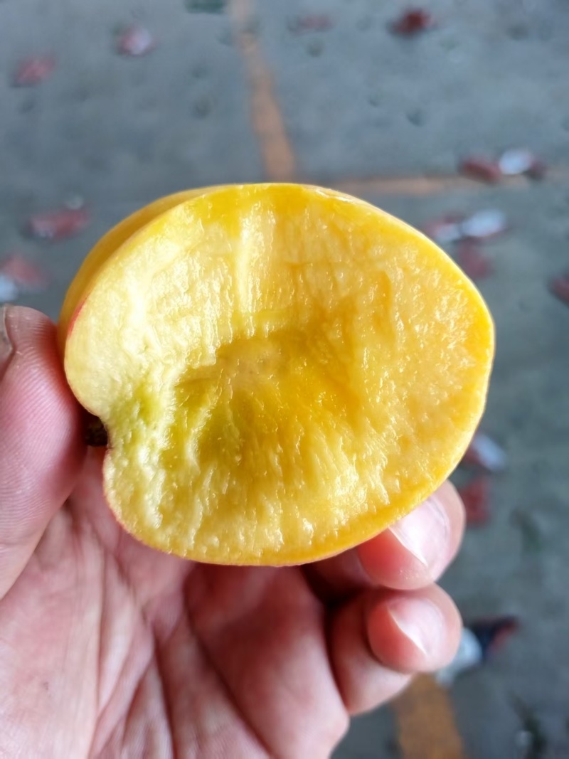 黄油桃手选果精品