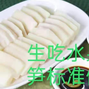 甜龙竹笋1000-2000克/支