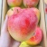 芒果5两起步