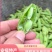 毛豆大粒