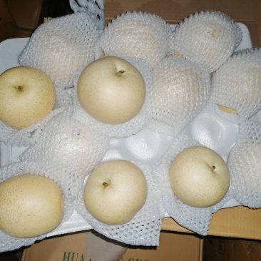 皇冠梨半斤以上