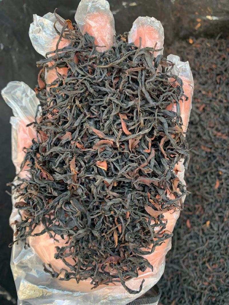 普洱茶散茶