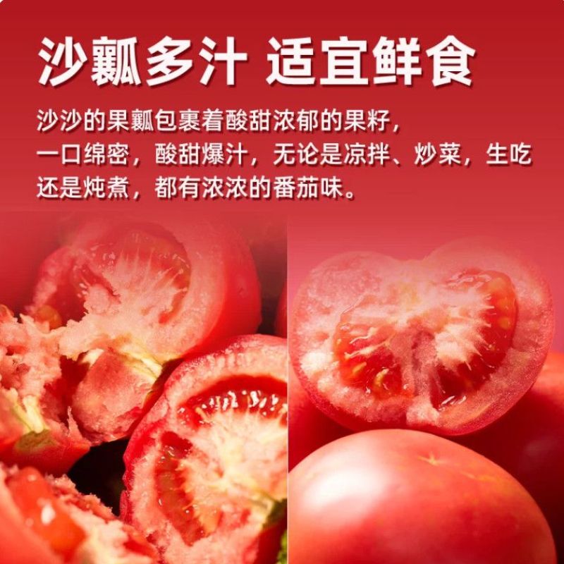 西红柿通货