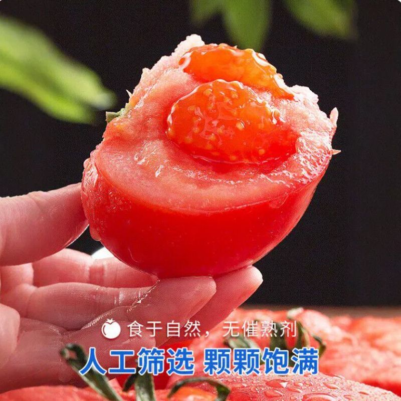 西红柿通货