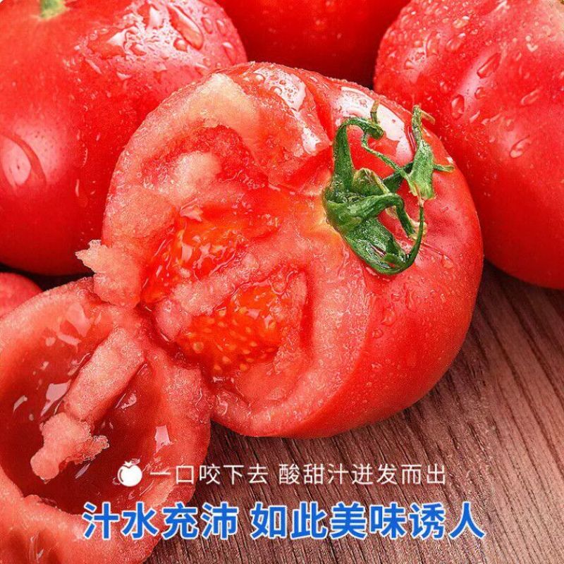 西红柿通货
