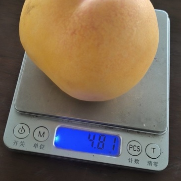 黄桃半斤左右一个，4.8两