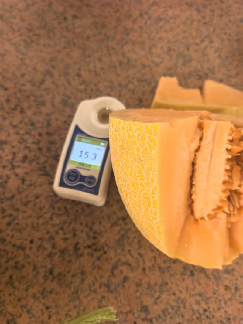 哈密瓜八六王哈密瓜，整车发货