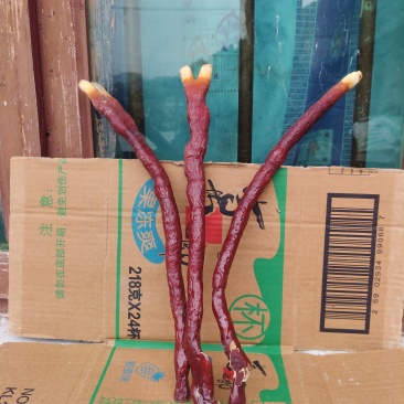 鹿角灵芝干货