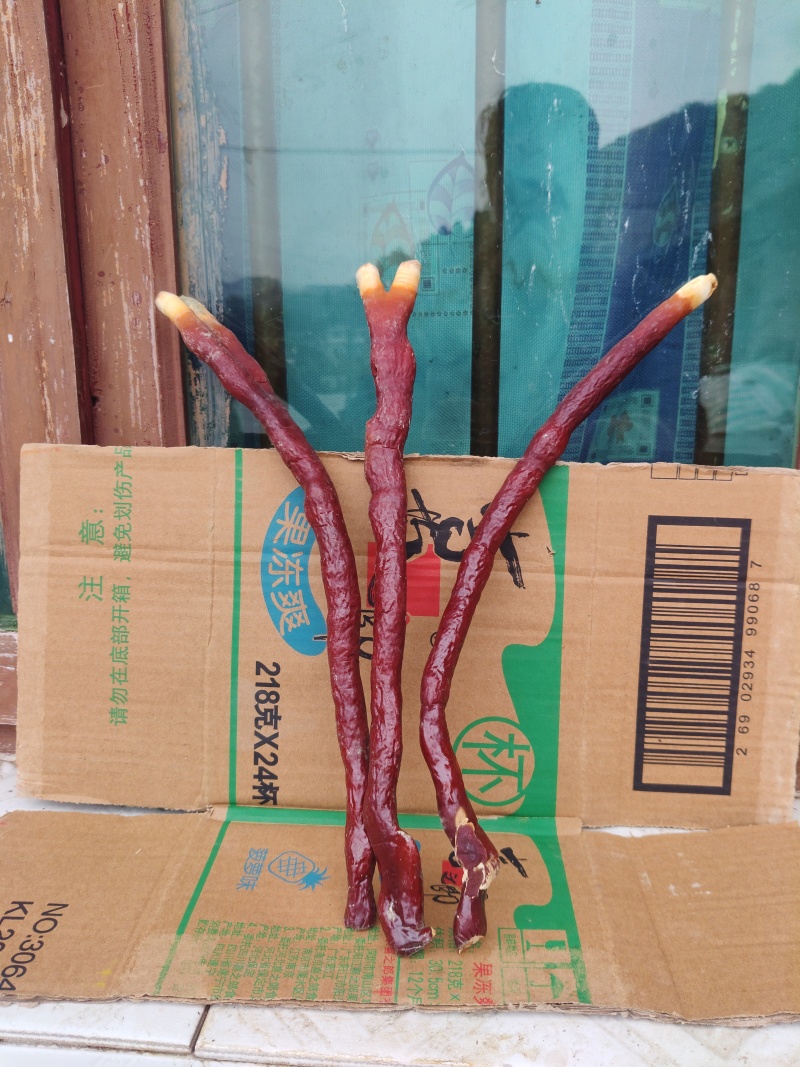 鹿角灵芝干货