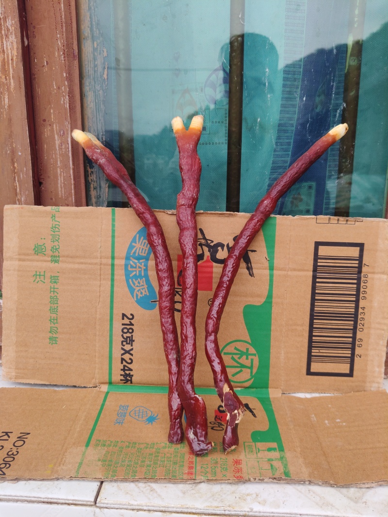 鹿角灵芝干货