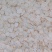 西洋参软支西洋参片0.8/1.0/1.2/1.6/2.0