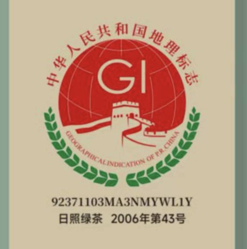 日照绿茶一级
