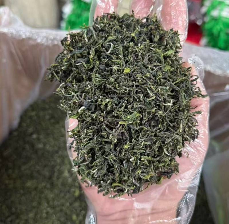 日照绿茶一级