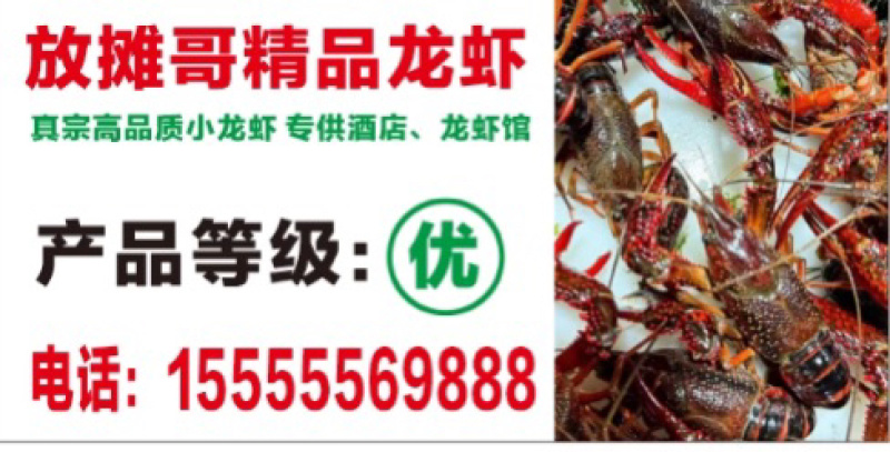 小龙虾小青红2.8-3.8:11.5元/斤;中青红4-6