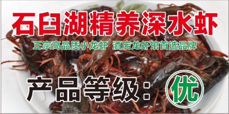 小龙虾小青红2.8-3.8:11.5元/斤;中青红4-6