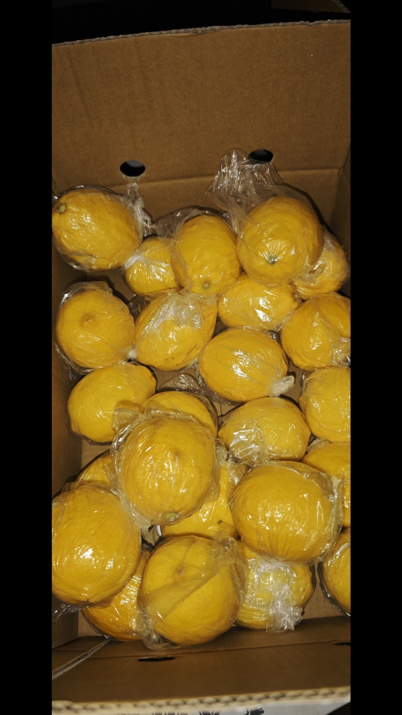 柠檬优力克一二级/二三级果60-300g
